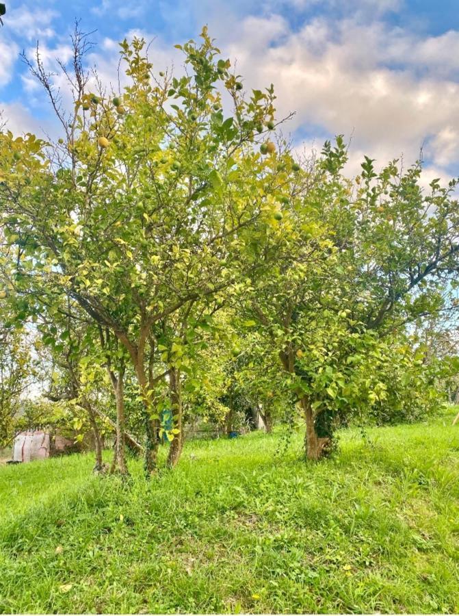 Casa Outeiro Villa Betanzos Eksteriør bilde
